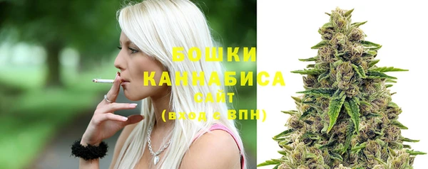 молекула духа Пересвет