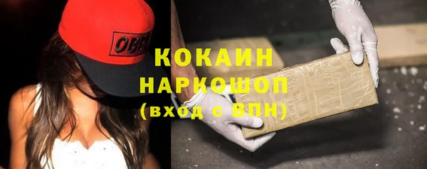 spice Осинники