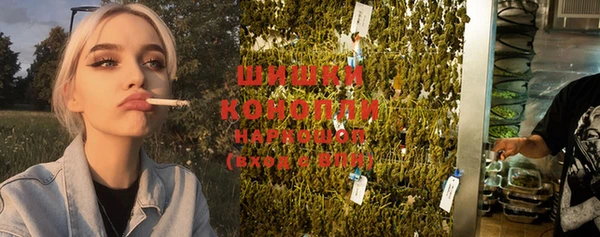 молекула духа Пересвет