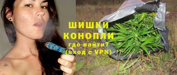 молекула духа Пересвет