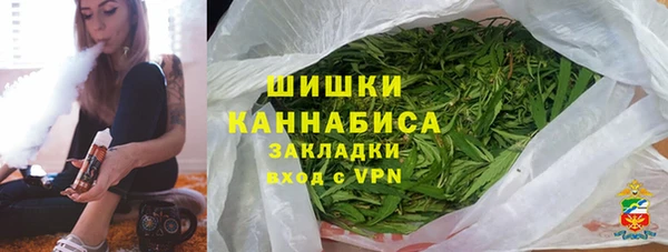 молекула духа Пересвет